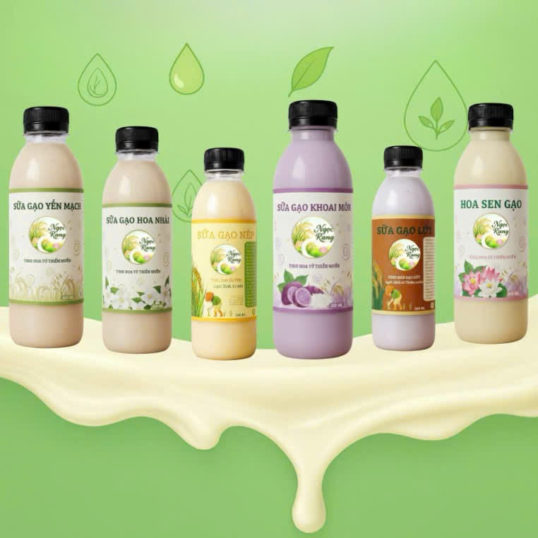Các Loại Sữa Gạo Phổ Biến Của Ngọc Rạng 
